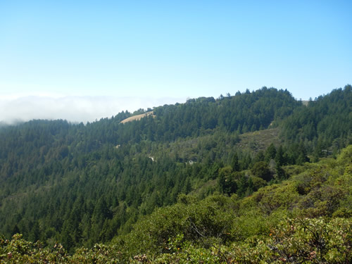 View from Rock Springs Trail