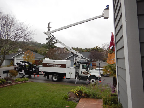 Marin Tree Bucket Truck