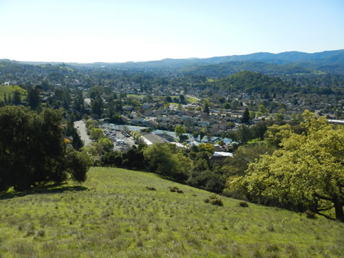 Rolling Hills