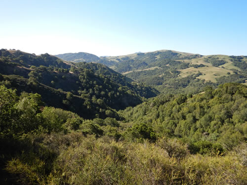 Lucas Valley