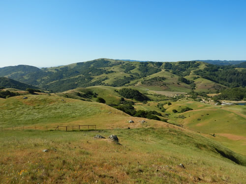 The Valley