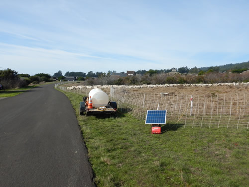 Mowing power (and water)