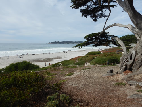 Carmel Beach