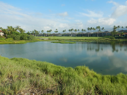 Hualalai Lagoon