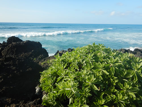 Hualalai Beach