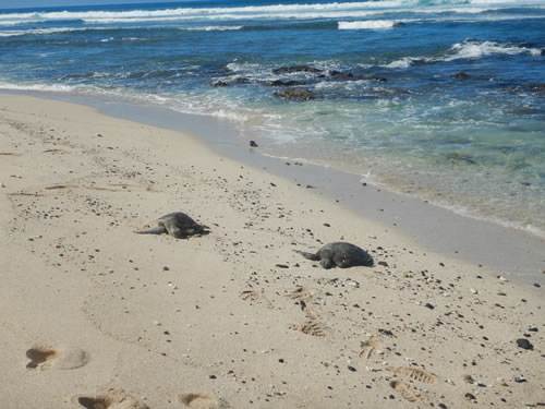 Hualalai Beach