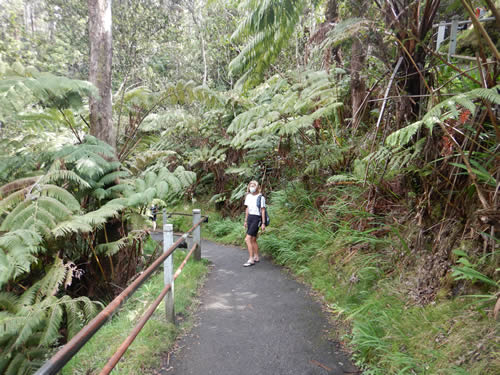 Entrance to Lava Tube