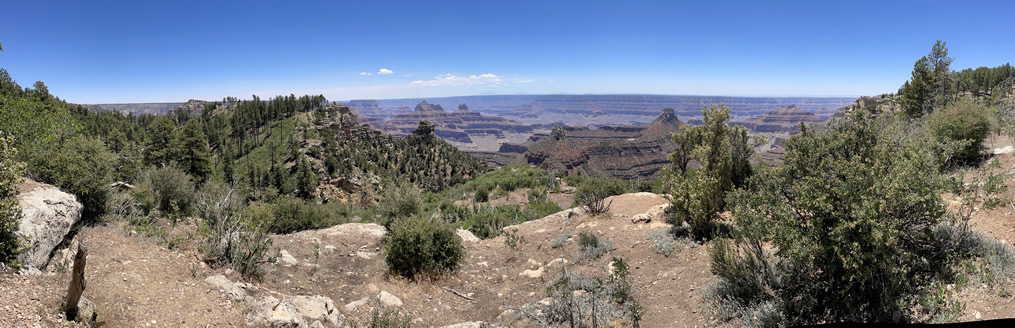 Widforss Trail Panorama