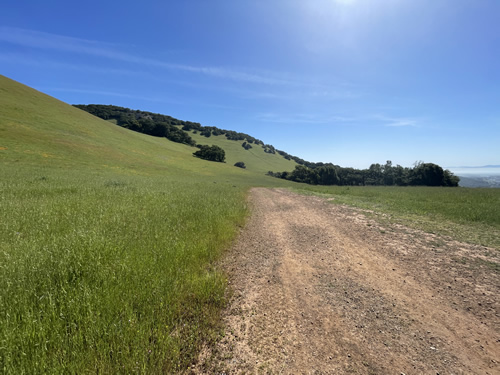 Middle Burdell Fire Road