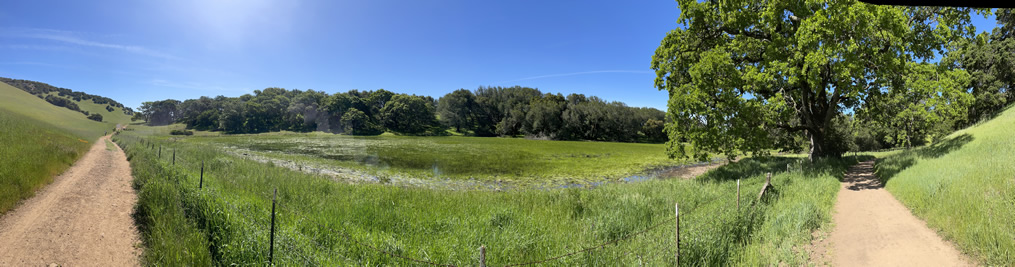 Hidden Lake Pano