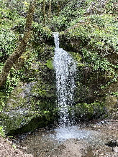 Buck Gulch Falls