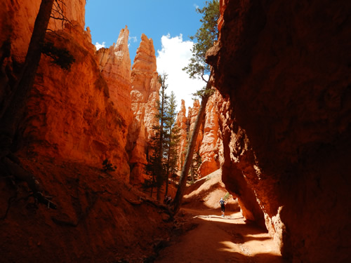 Bryce Canyon