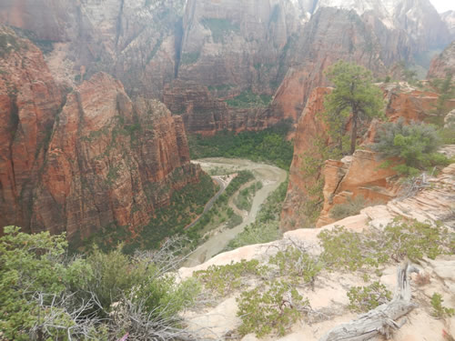 Zion