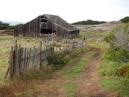 Sheep Barn