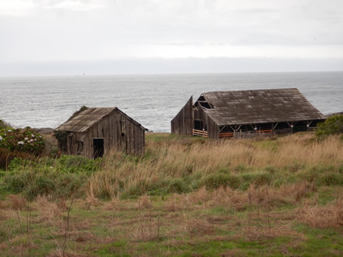 Sheep Barn