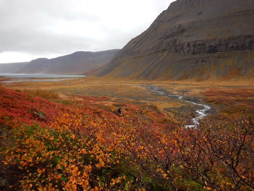 Álftafjörður