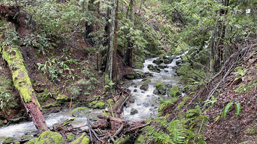 Cataract Falls