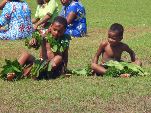 Waitabu Kava Ceremony
