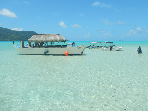 Shark Hunter Catamaran