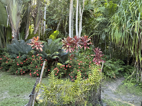 Botanical Garden, Fiji