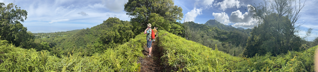 Raritonga Hike