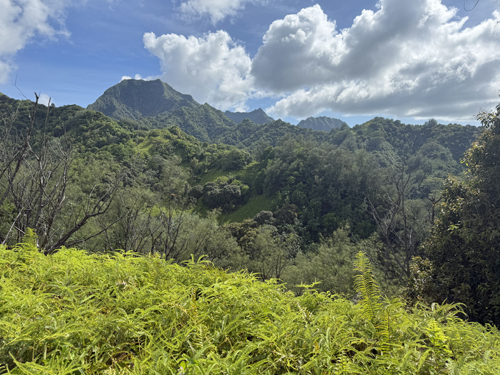 Raritonga mountains