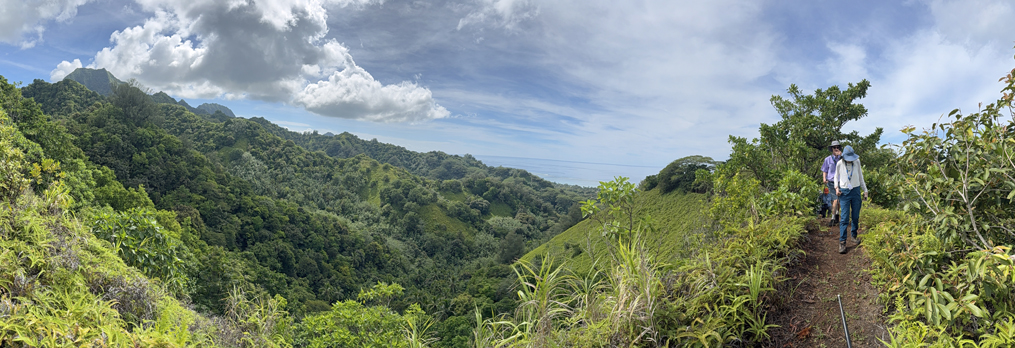 Raritonga Hike