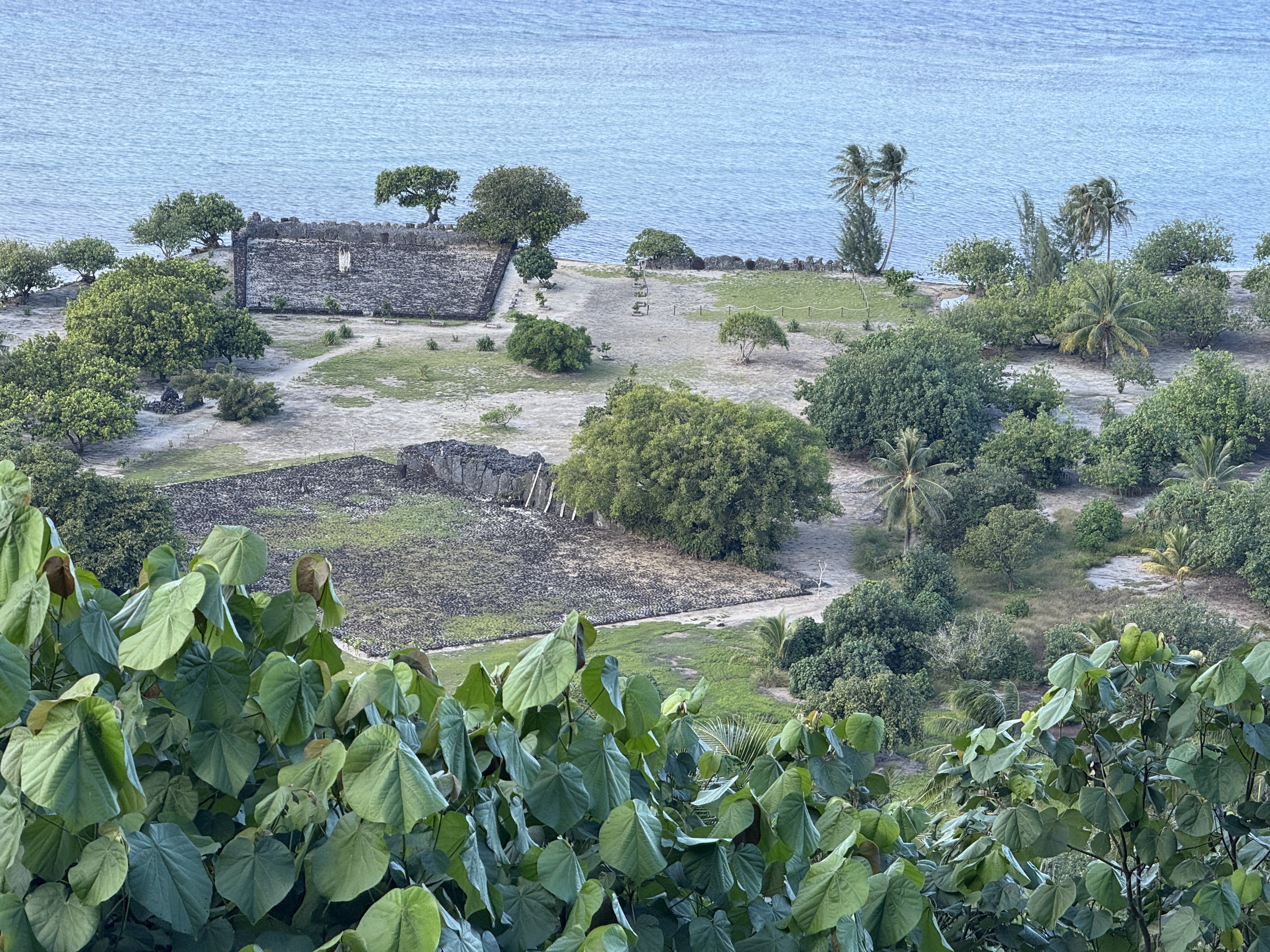 Marae View