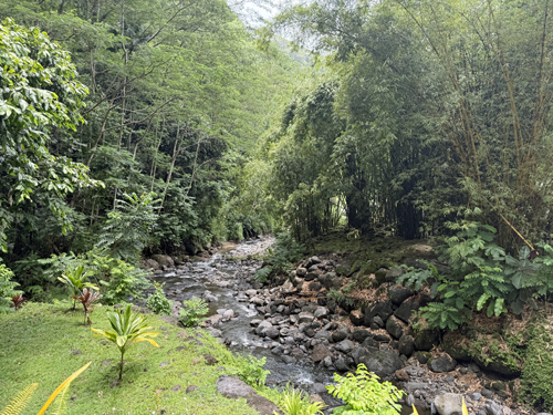 Waterfall