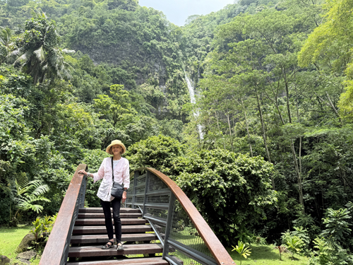 Care @ Waterfall