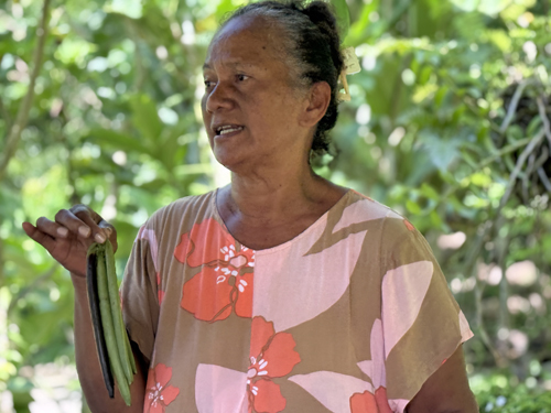 Taha'a Vanilla Plantation Speaker