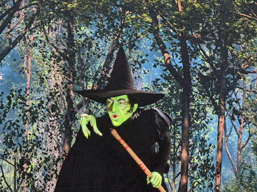 Wicked Witch