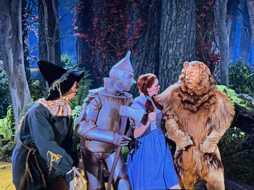 Lions, Tigers, Bears