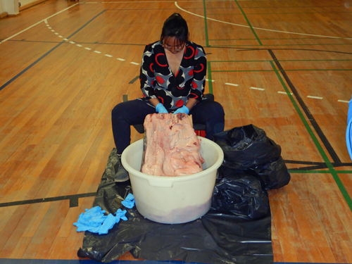 Qaanaaq Seal Skinning Demo